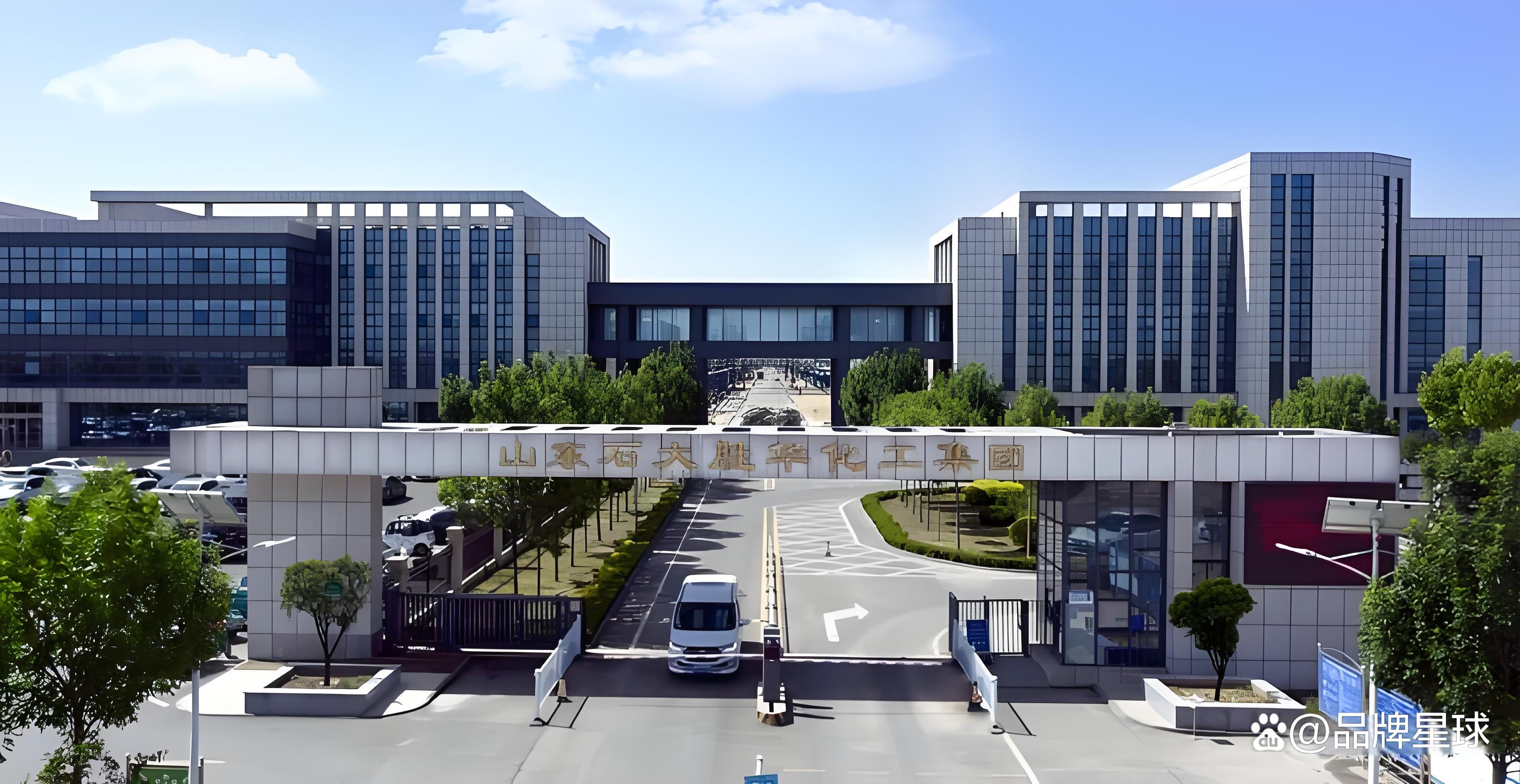 石大胜华（603026）2024年年报简析：净利润减12.32%，应收账款上升