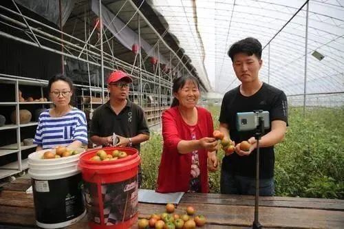 债券投资机构“辽宁行”活动启动 搭建债券投融资交流平台