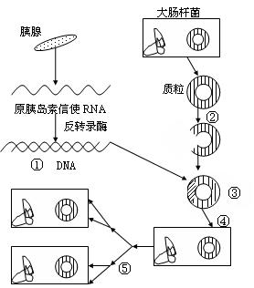 晶瑞电材获得发明专利授权：“一种过氧化氢的提纯方法”