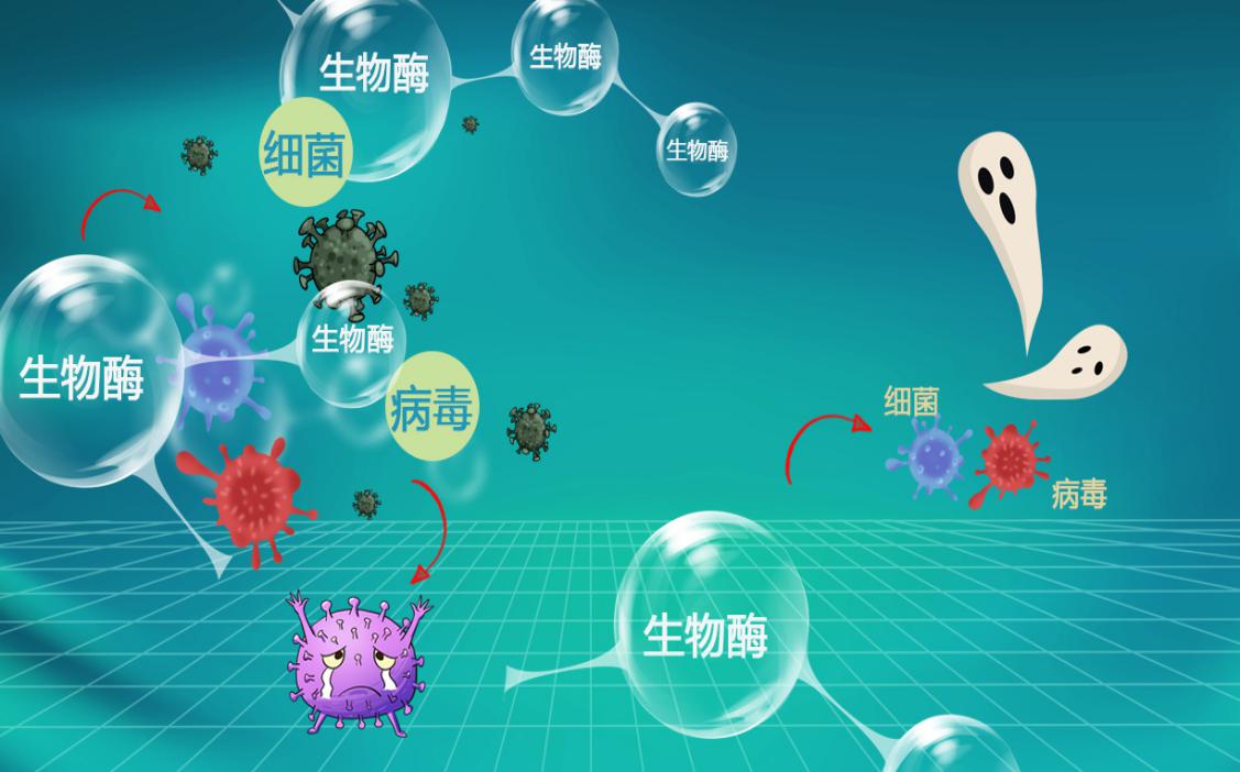 金达威：公司采用生物酶催化绿色生产工艺生产NMN原料