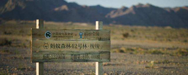 蚂蚁森林连续9年大规模“春种”，种树6亿棵“增绿”又“增收”