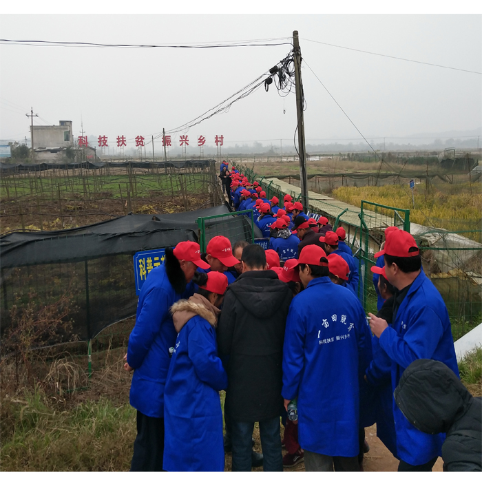 上海物贸：公司仓储物流业务深耕黑色金属主业