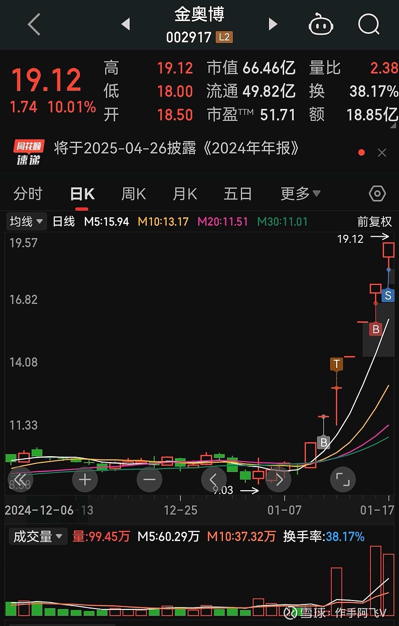 金奥博（002917）2025年一季报简析：营收净利润同比双双增长，盈利能力上升
