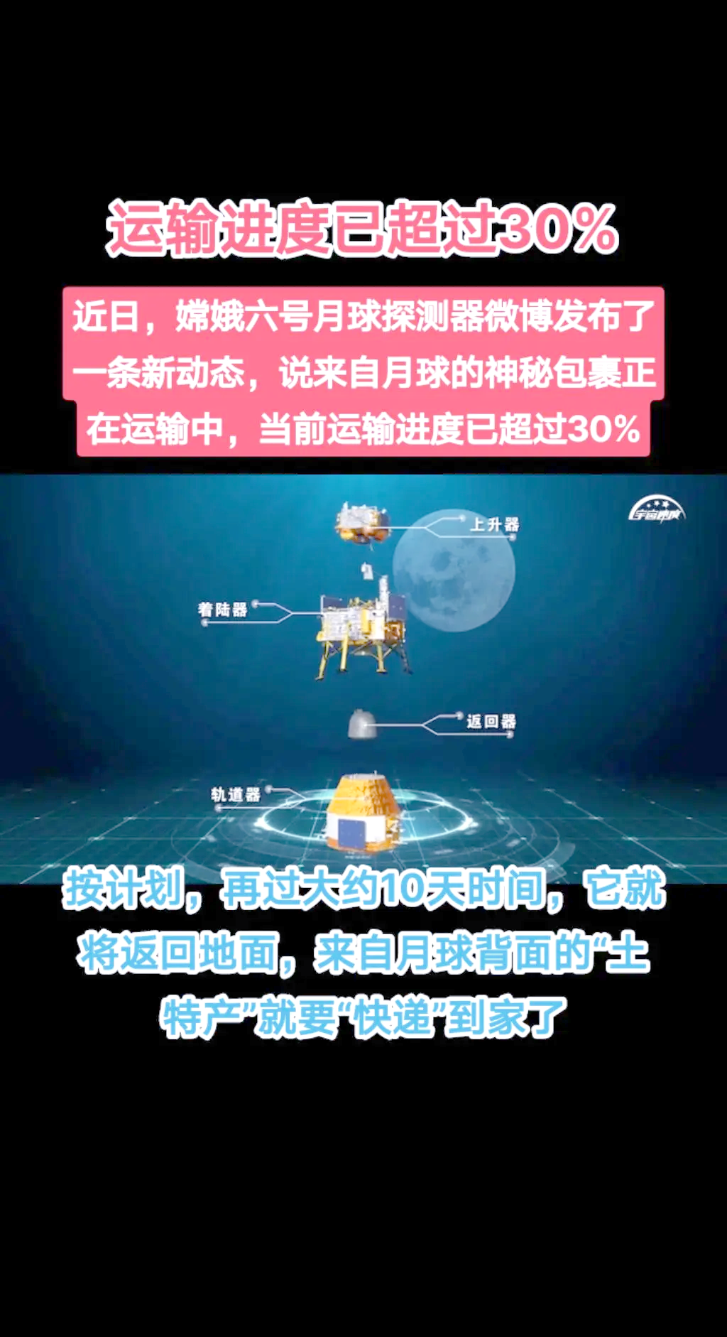 中国空间站首批在轨繁育果蝇即将返回地球 有望获得多项科学成果