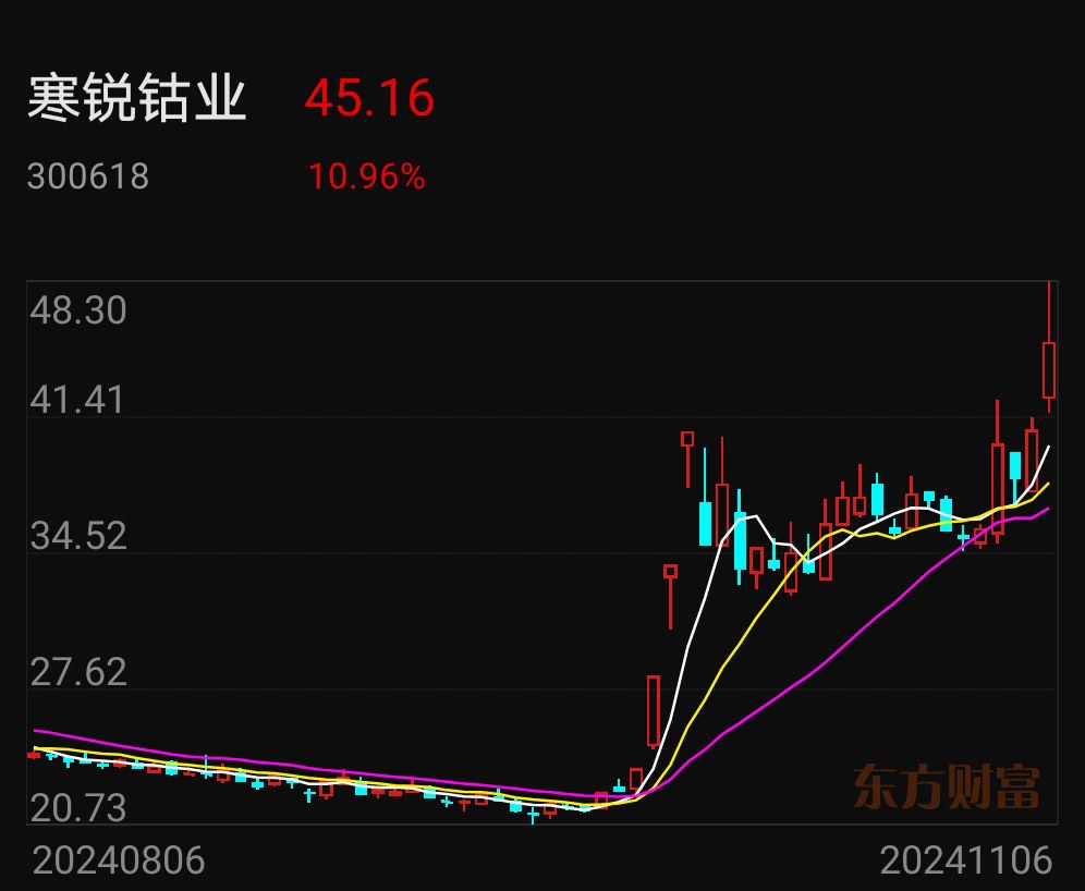 寒锐钴业（300618）2024年年报简析：营收净利润同比双双增长，盈利能力上升