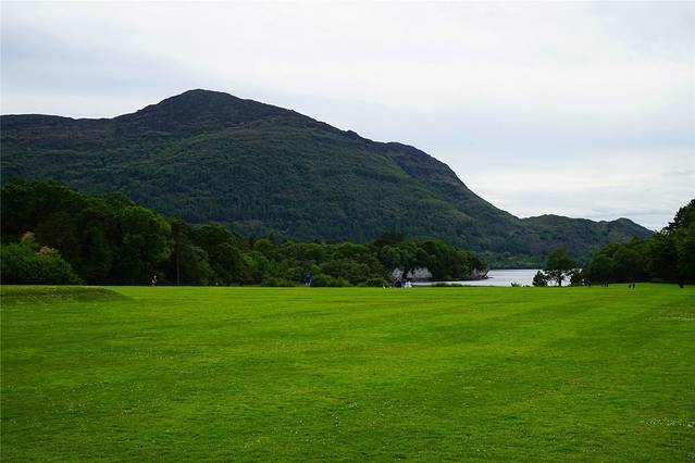 尼国家计委建议叫停问题项目
