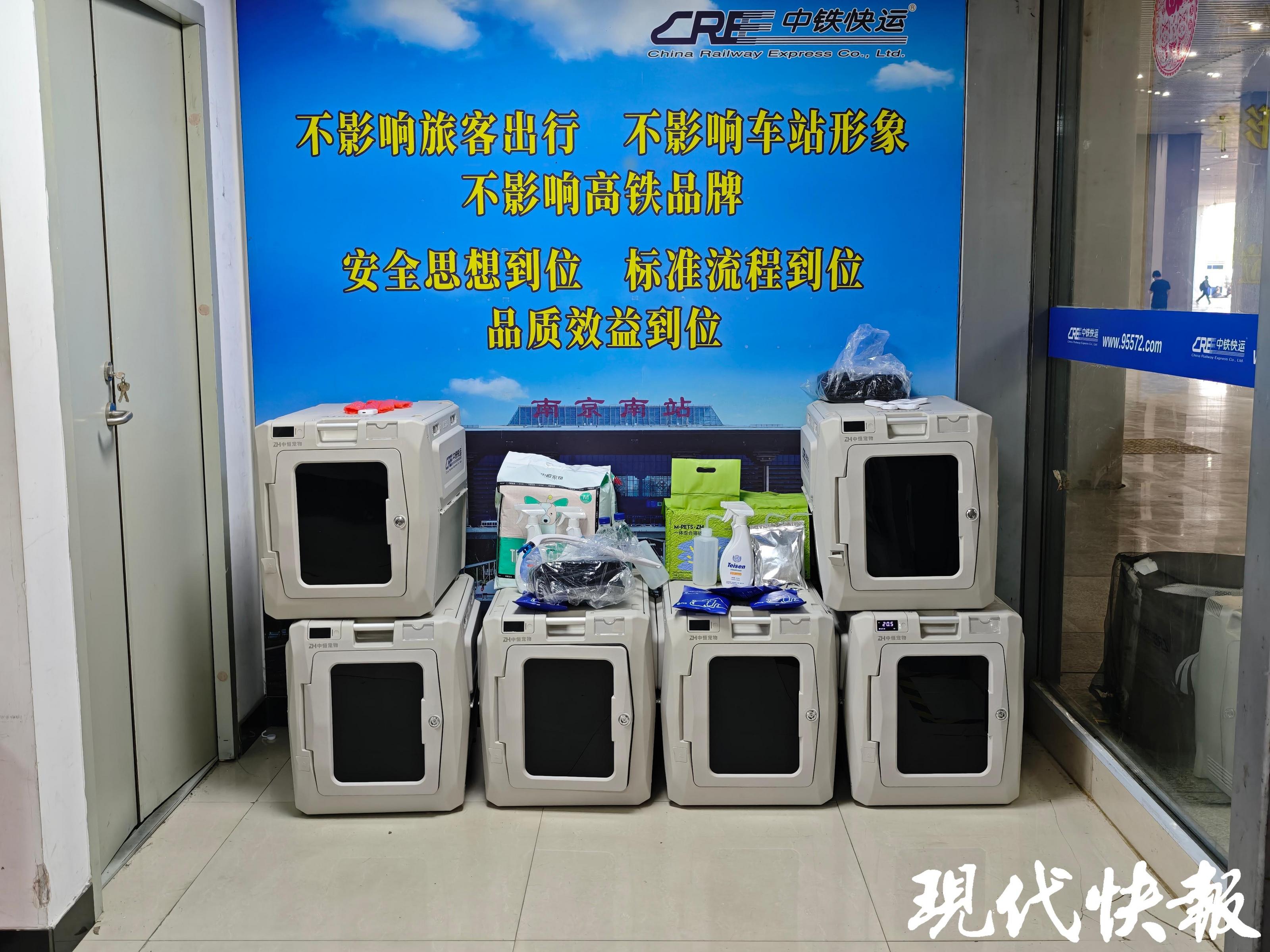 从“毛孩子运动会”到“长耳朵的车队” 滴滴开放日聚焦宠物出行