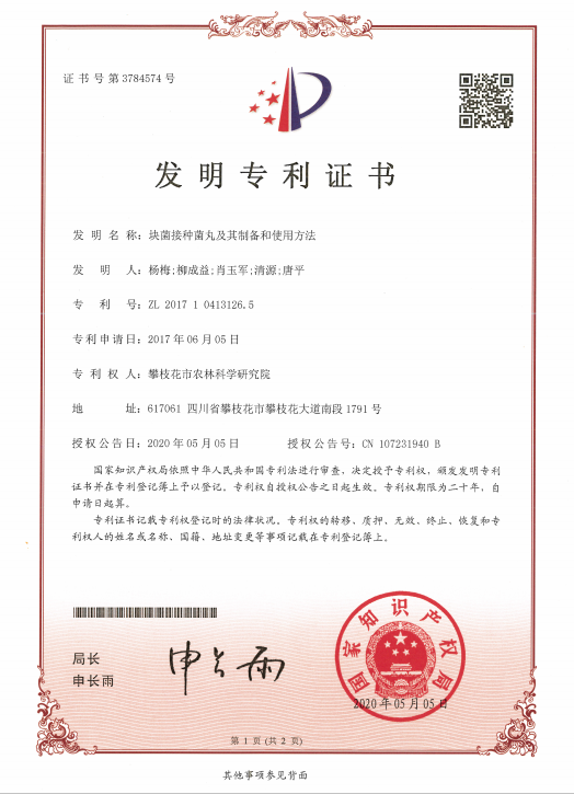 联影医疗获得发明专利授权：“放射治疗计划系统和方法”