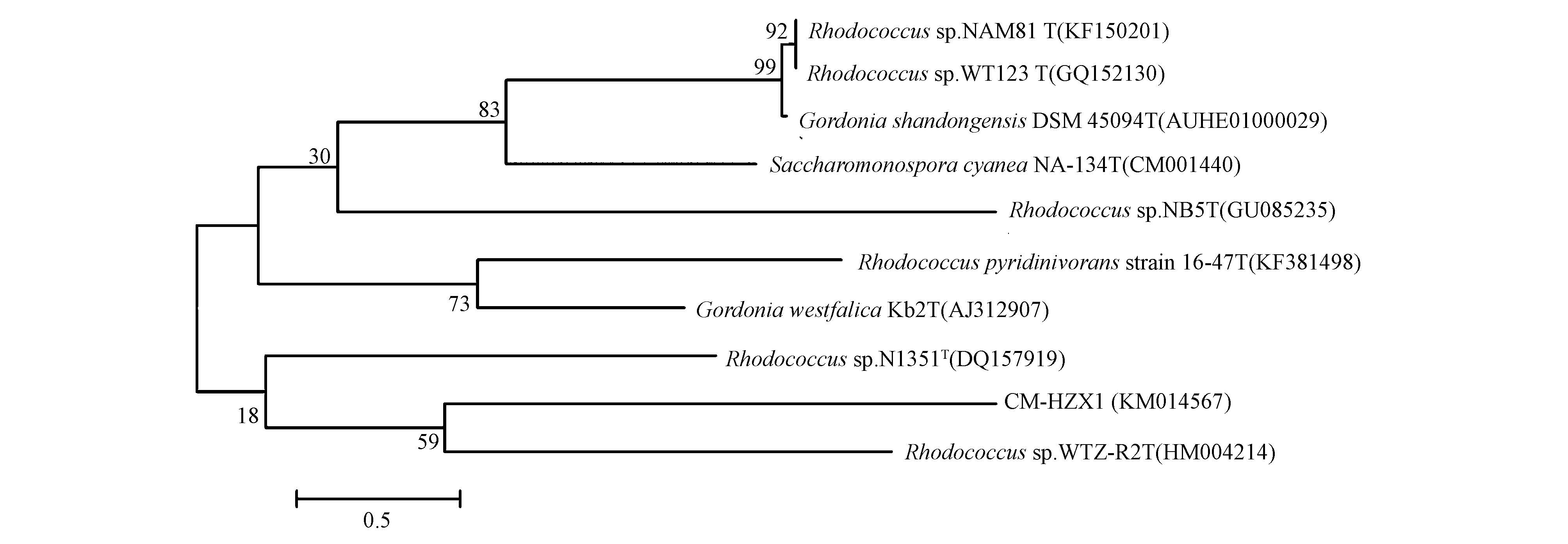 俄培育出擅长分解有毒物质苯酚的细菌