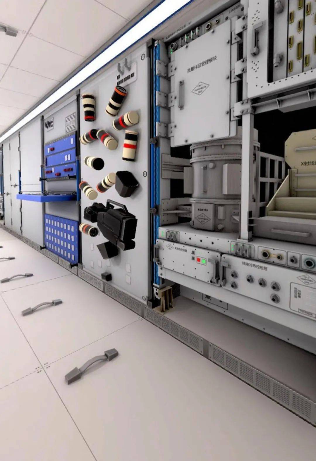 首次公布！中国空间站内发现微生物新物种