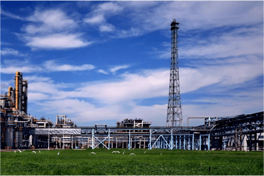 中国石化获得实用新型专利授权：“一种随钻天线防护套筒”