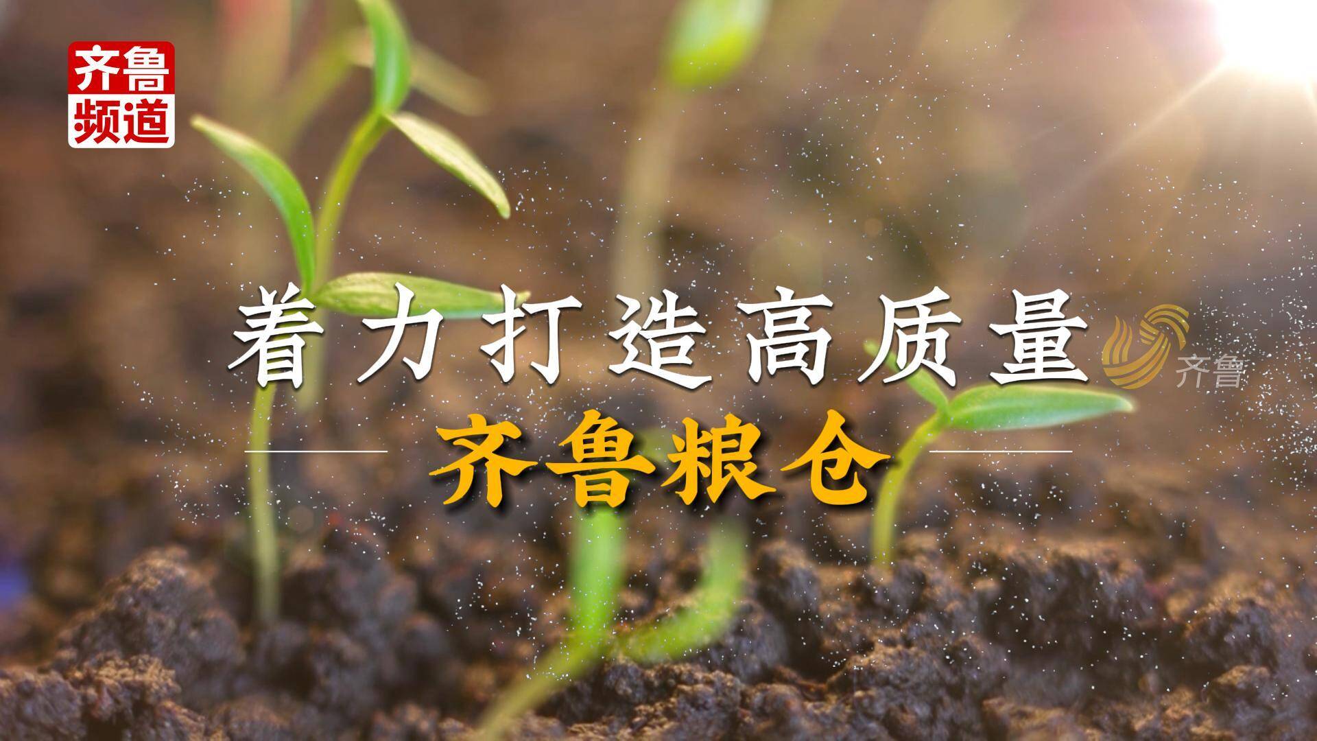 科技护航“齐鲁粮仓”