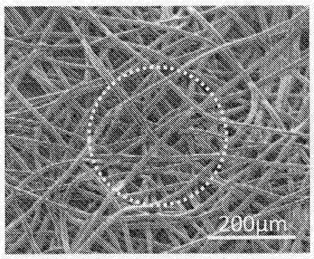 精工科技获得实用新型专利授权：“一种多工位的碳纤维丝锭纸管内壁扫码机构”