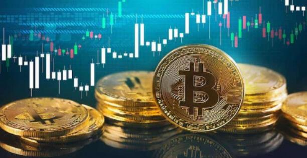 九典制药2024年净利5.12亿增长39%：董秘曾蕾薪酬83万涨薪18万