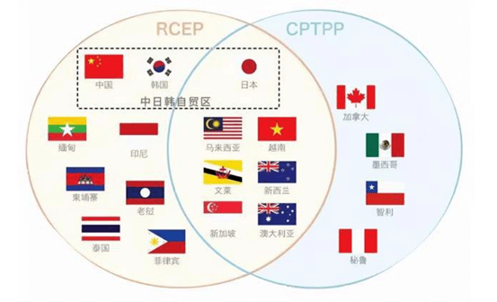 《区域全面经济伙伴关系协定》（RCEP）联委会第九次会议在日本东京举行