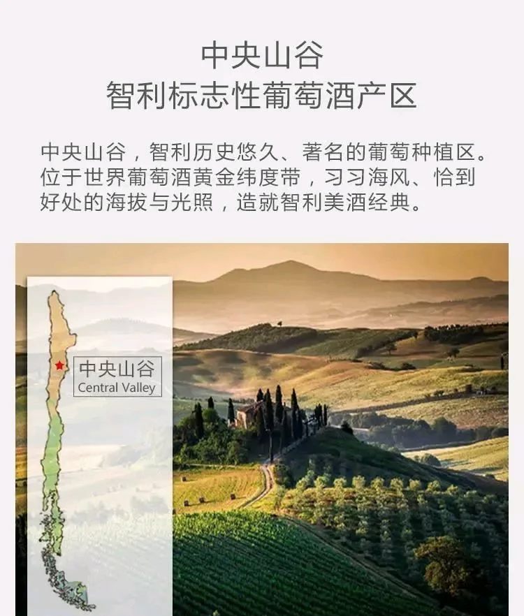 智利六成新增岗位来自数字平台