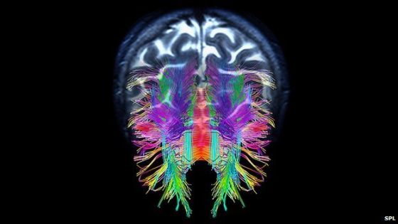 科学家证实大模型能像人类一样“理解”事物