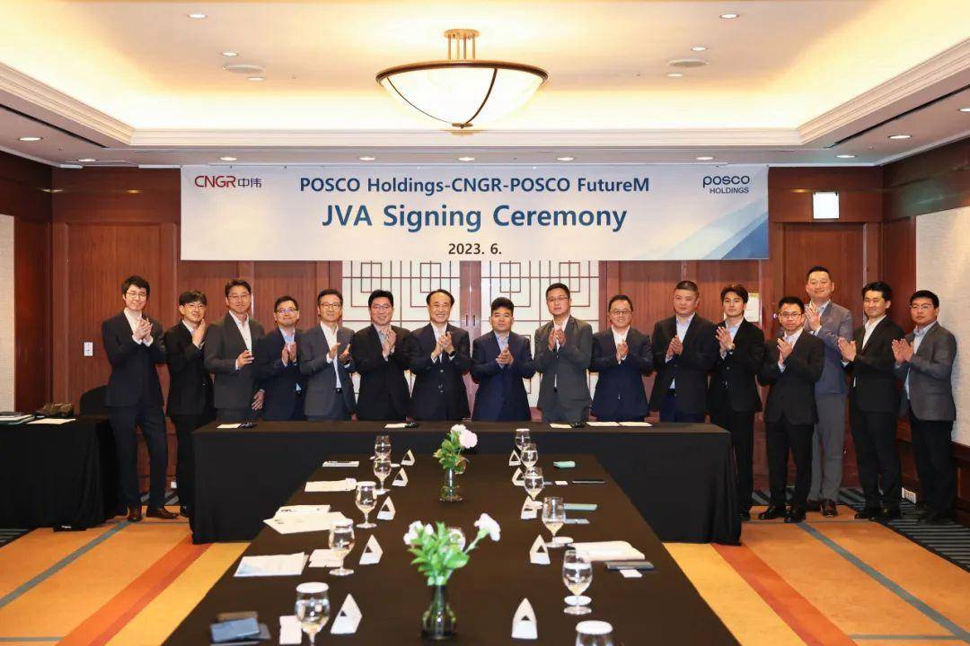 韩国POSCO Future M跌出电池负极材料市场前十