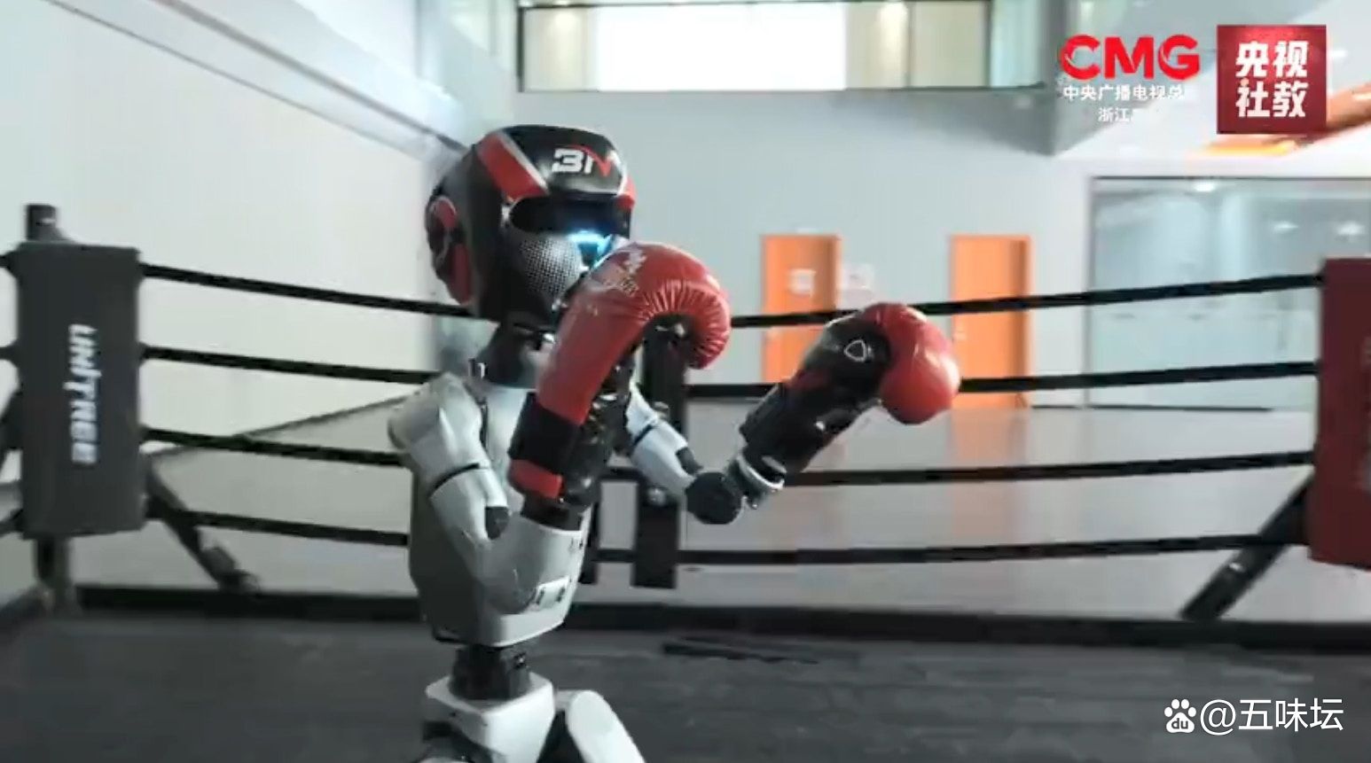 一场人形机器人“格斗赛”带来的思考