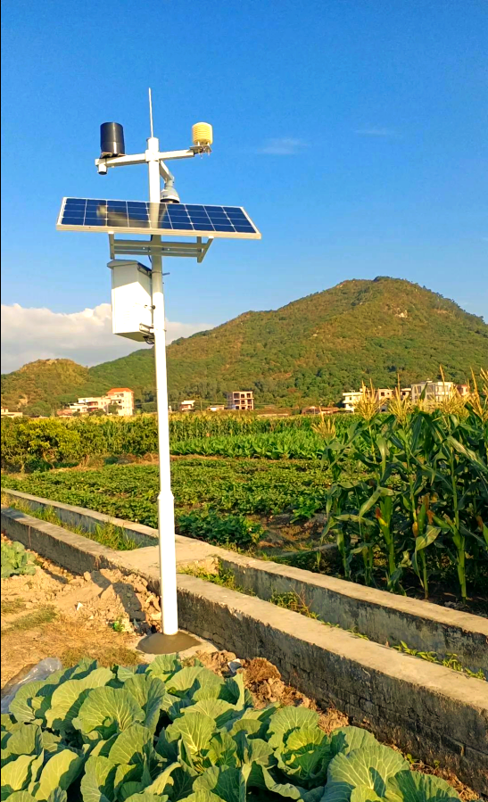 新型可降解太阳能电池有望助力农业数字化