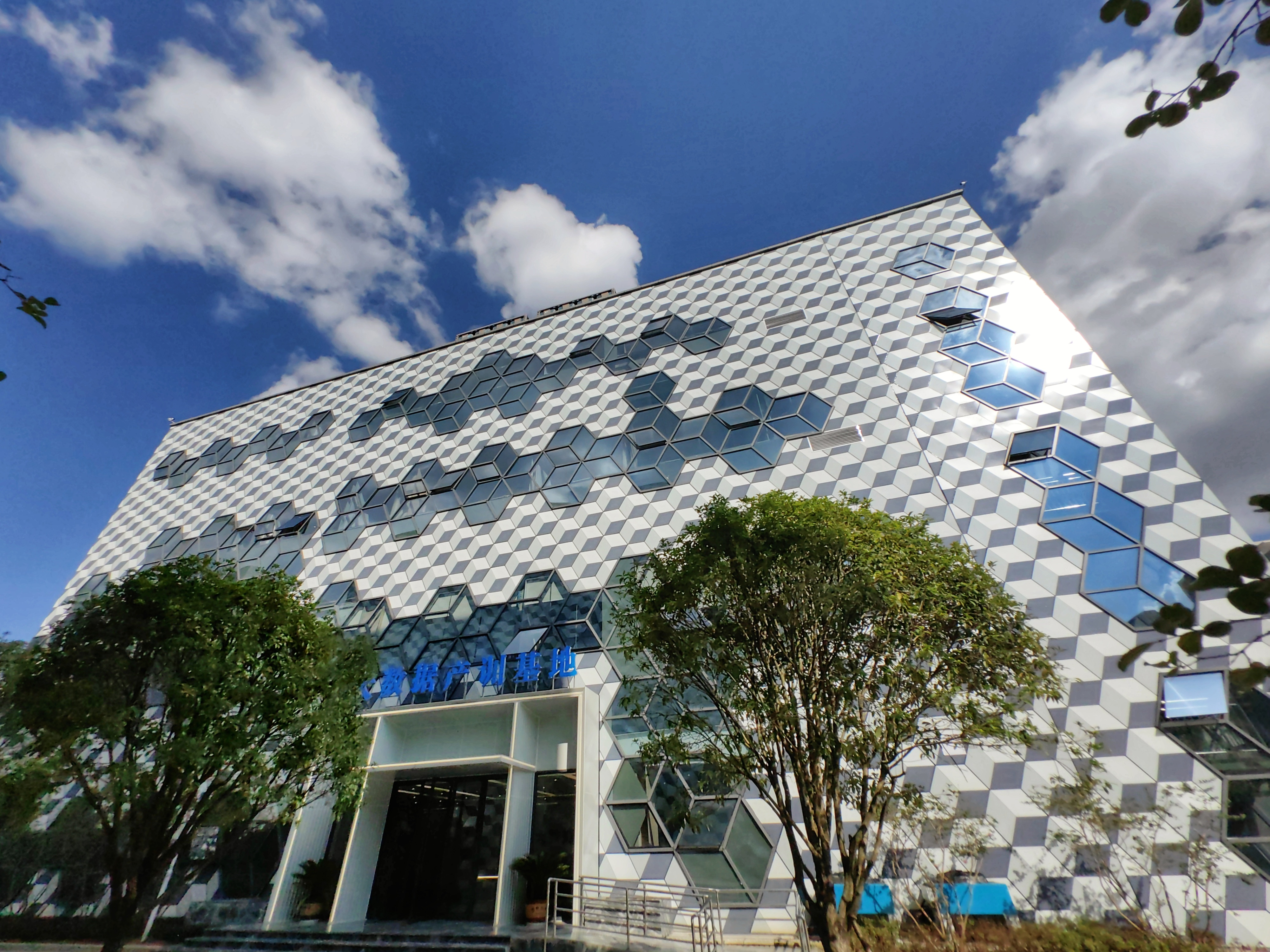 新华视点丨逐浪数字经济 激活发展新动能