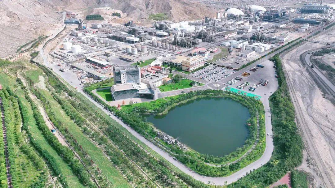 黄祥泓：以科技赋能健康，以创新引领行业高质量发展