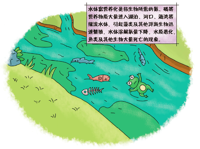 科普丨方还是圆 文化环境影响“所见”