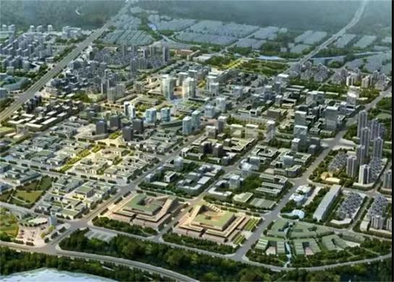 国际青年“智见”大湾区科技活力