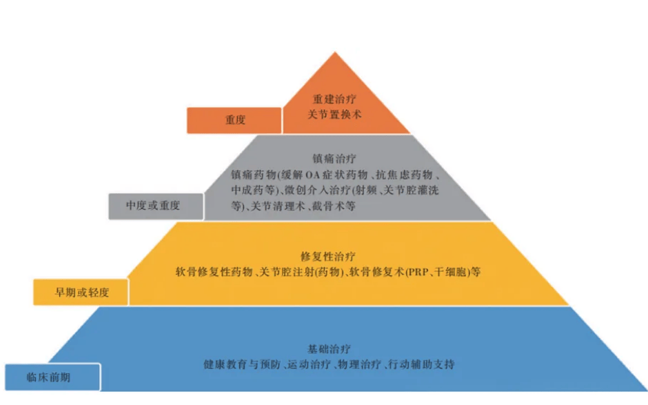 我国医疗团队取得血液肿瘤细胞疗法新进展