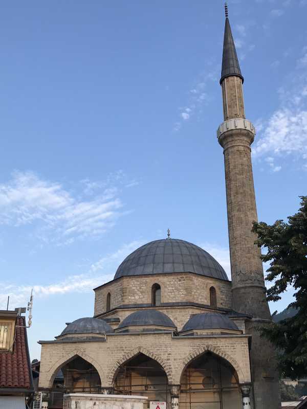 波黑联邦今年前5个月木材产销量双增长