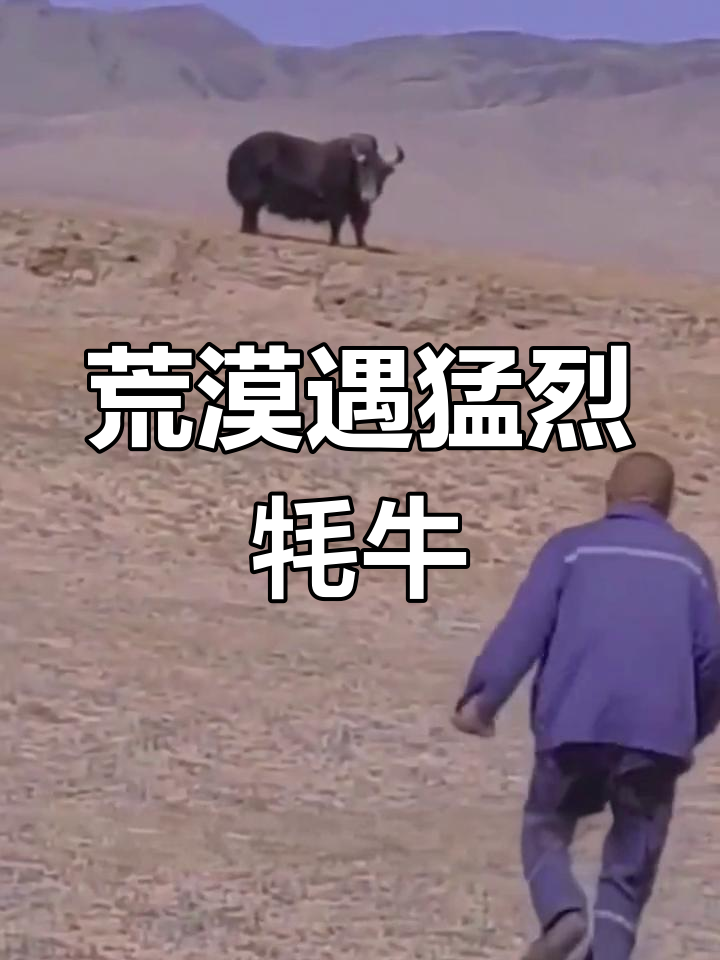 我国科学家成功克隆牦牛