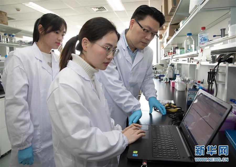 我国科学家成功克隆牦牛