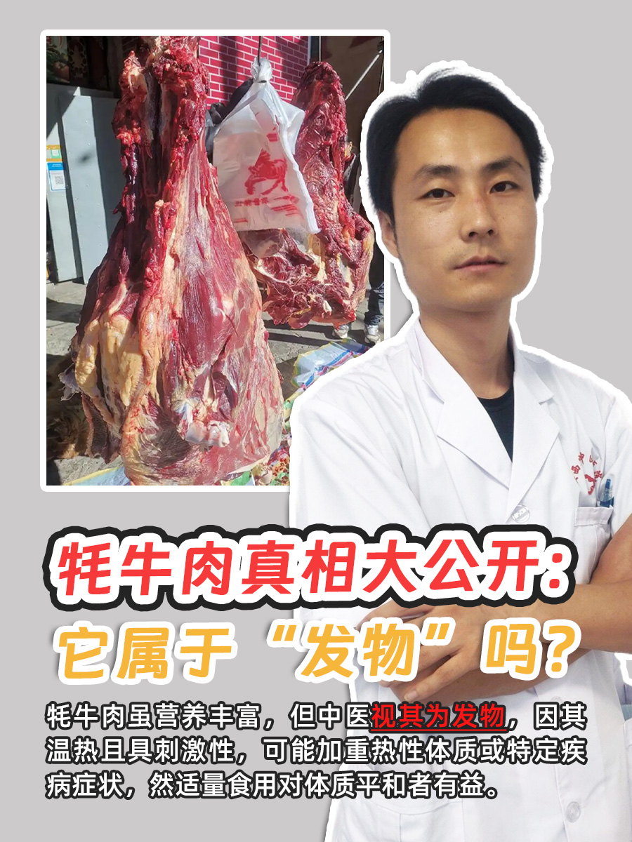 我国科学家成功克隆牦牛