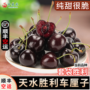 助力水果寄递，甘肃樱桃“韵鲜达”