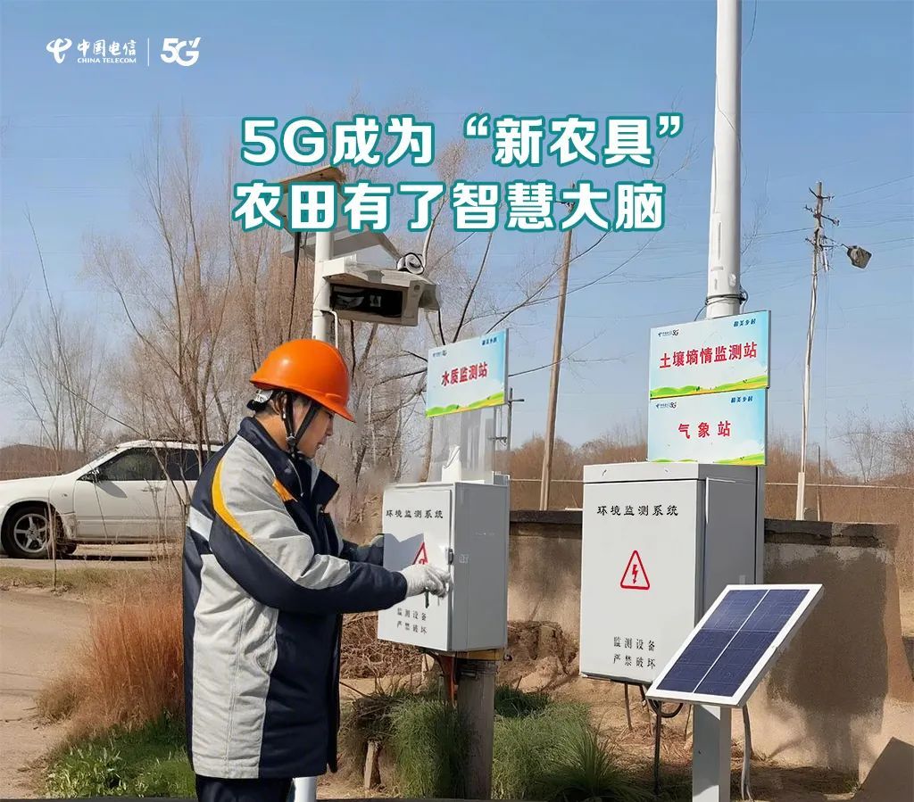 “科技赋能+产销融合”：中国产粮第一大省绘就农业现代化新图景