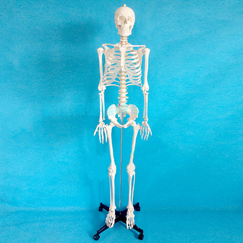 奥比中光获得发明专利授权：“一种人体骨架标注方法、装置及电子设备”