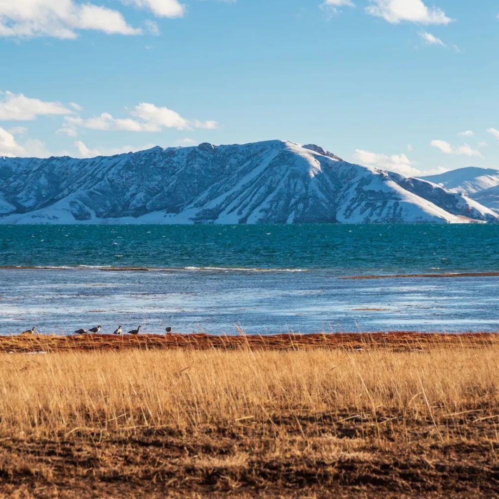 江源科考“把脉”长江源区最大湿地