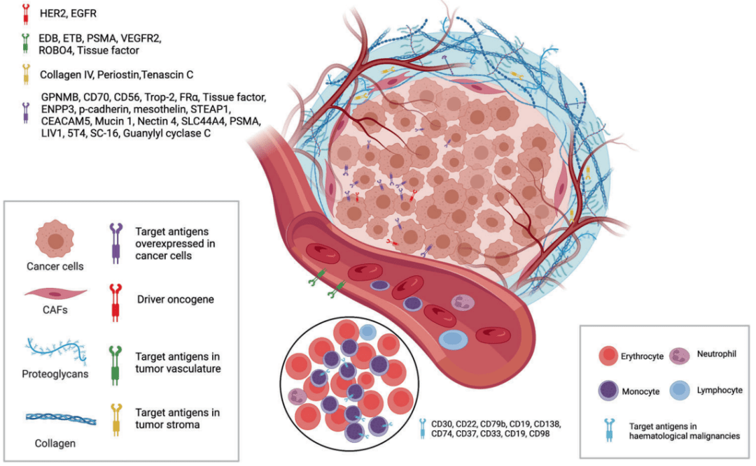 九强生物获得发明专利授权：“偶联物在制备检测试剂中的用途”