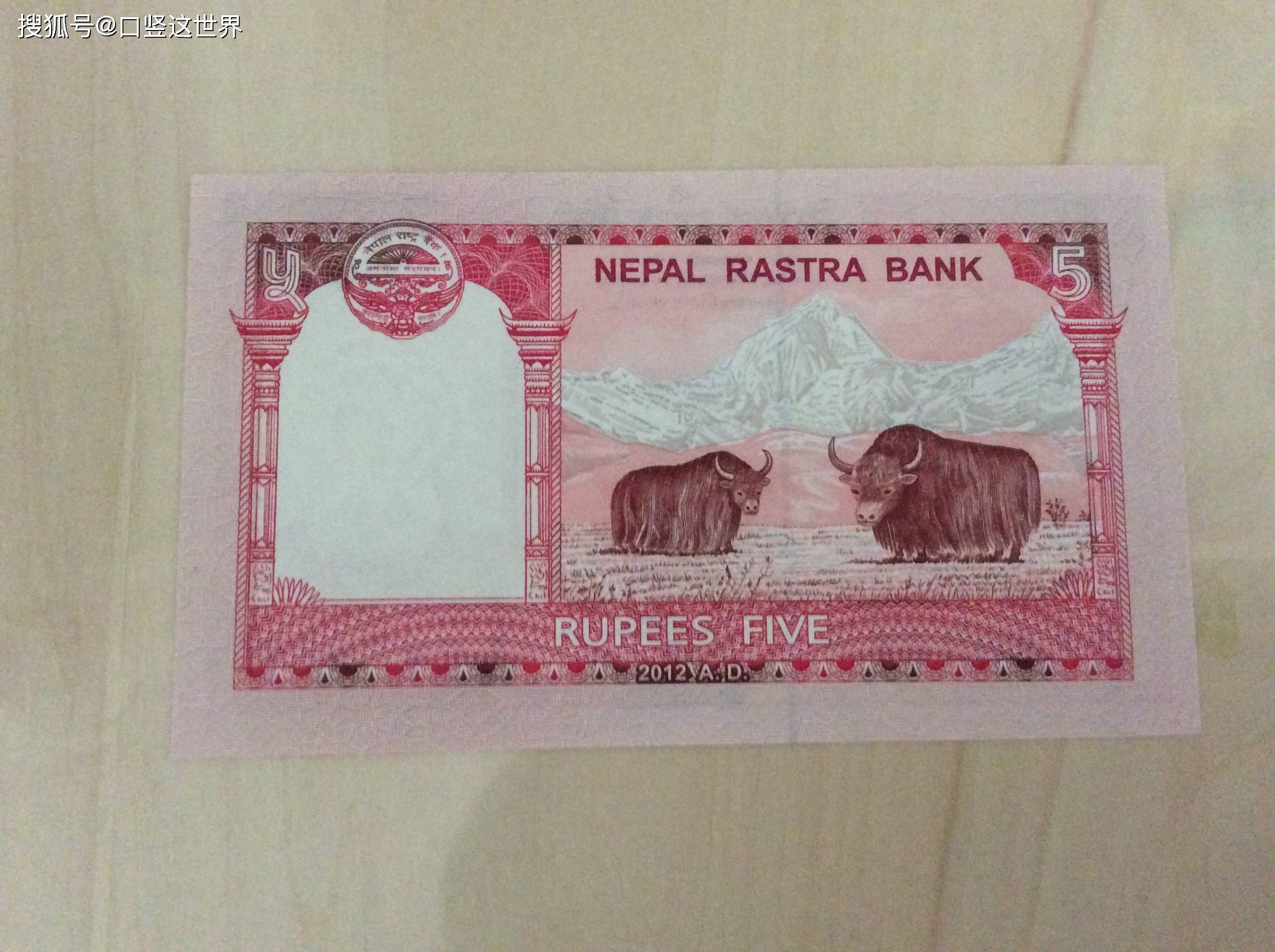 中企获准在尼泊尔投资200亿卢比水牛肉出口项目