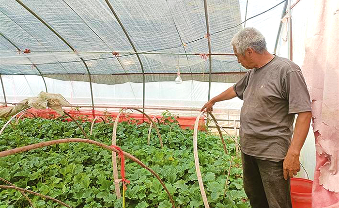两年建起废旧纺织再生全链条，盘的是“金寨”细账，养的是大别山青