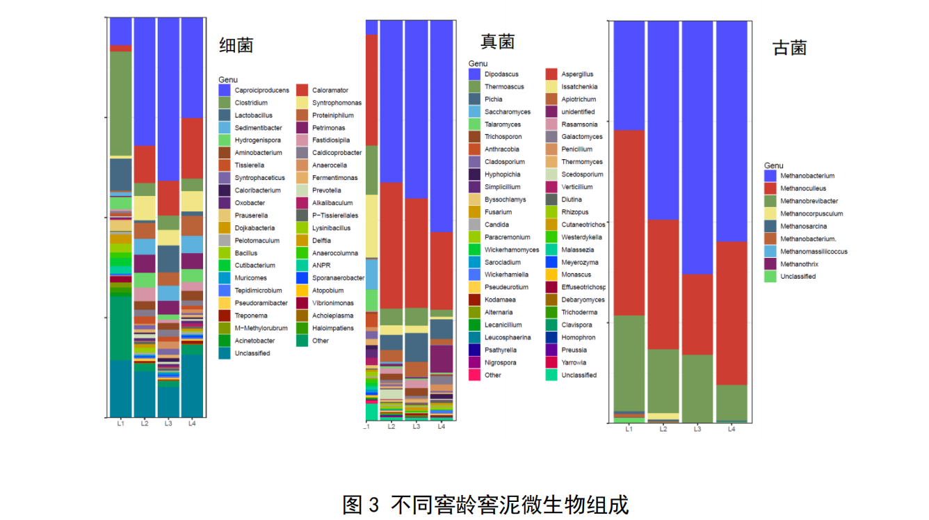 古细菌有望成为寻找新型抗生素的“富矿”