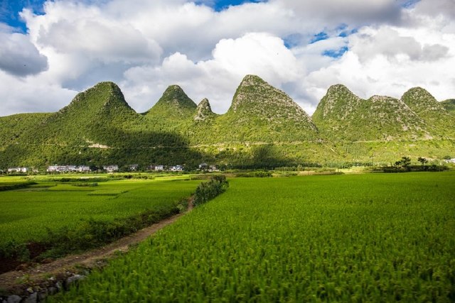 交易商协会正式发布“中国绿色债券信息服务平台”