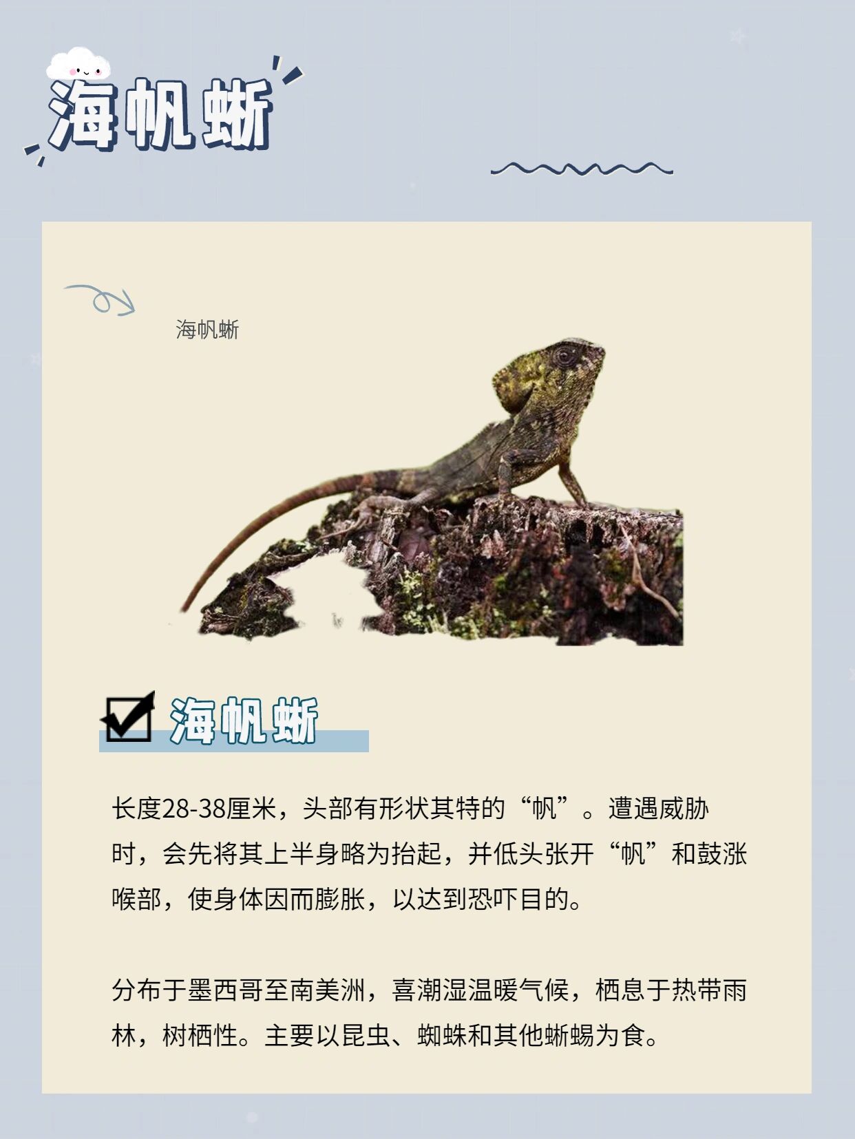 科普丨罕见 “黑月” 即将来临，它究竟是怎么回事