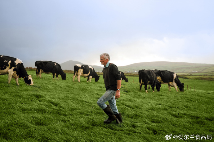 爱尔兰7月份服务业增长放缓