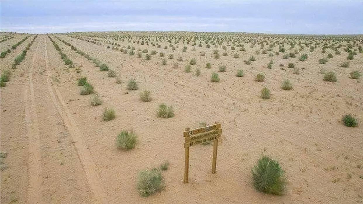 蚂蚁森林9年种下6.19亿棵树，蚂蚁集团为种树已累计协议捐资超45亿元