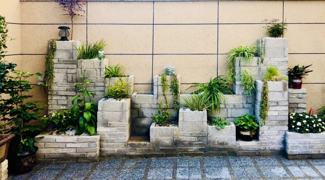 科技赋能城市管理，别搞“AI盆景”