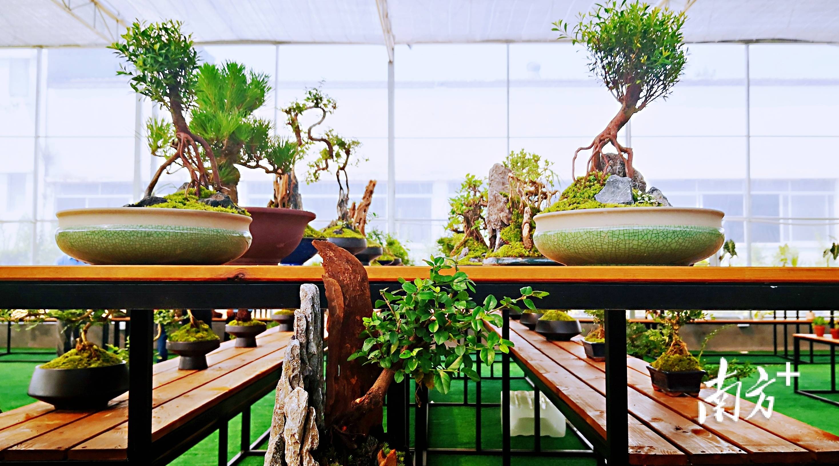 科技赋能城市管理，别搞“AI盆景”