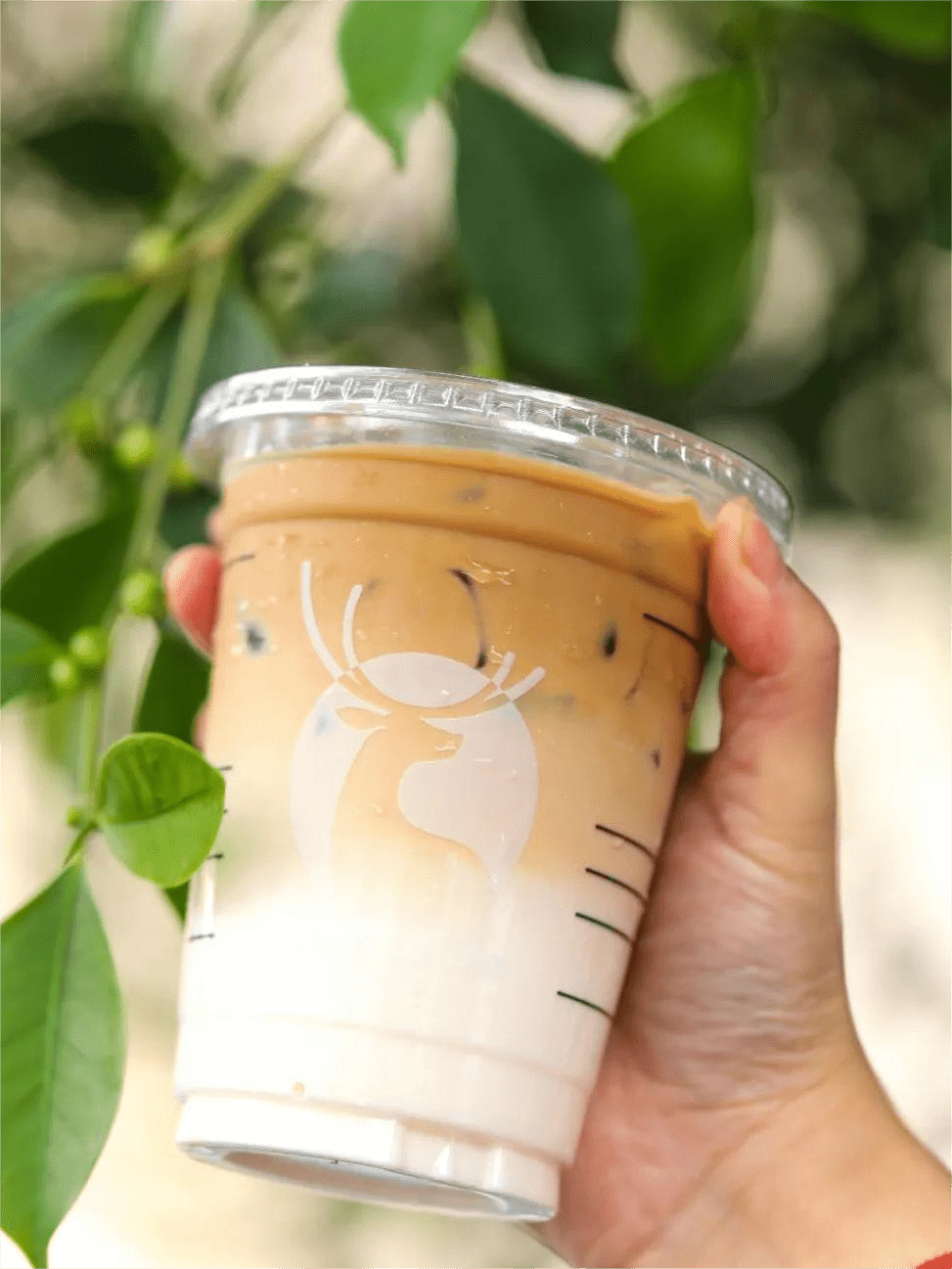 用一杯咖啡链接全球 瑞幸咖啡亮相第二十五届中国国际投资贸易洽谈会