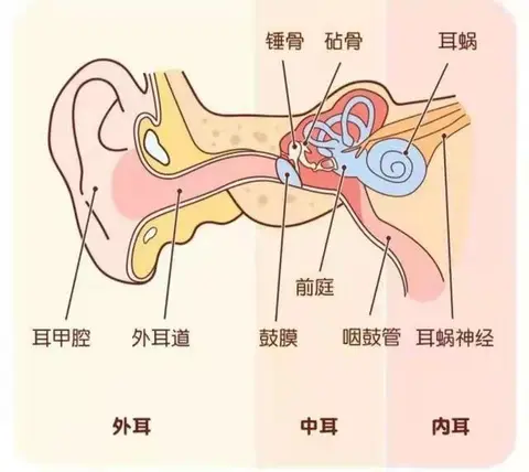 坐电车更容易晕车？
