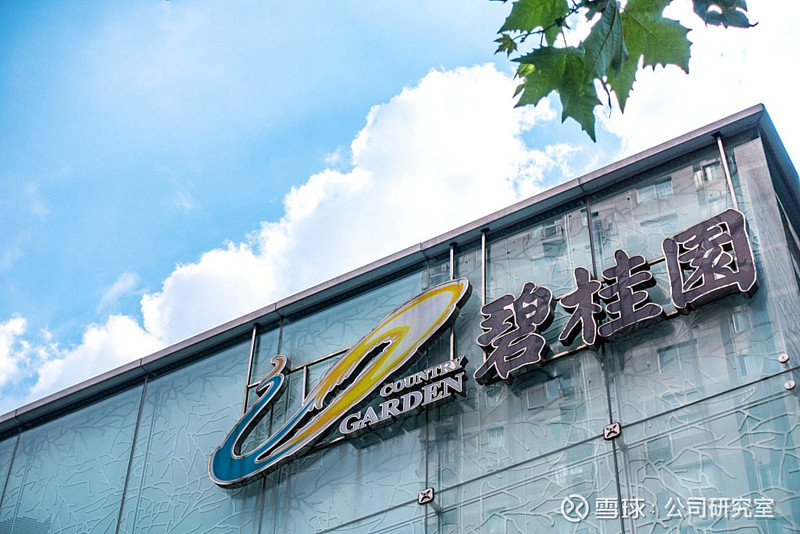 债市公告精选 |碧桂园公布境内债重组方案；华泰汽车等遭上交所公开谴责